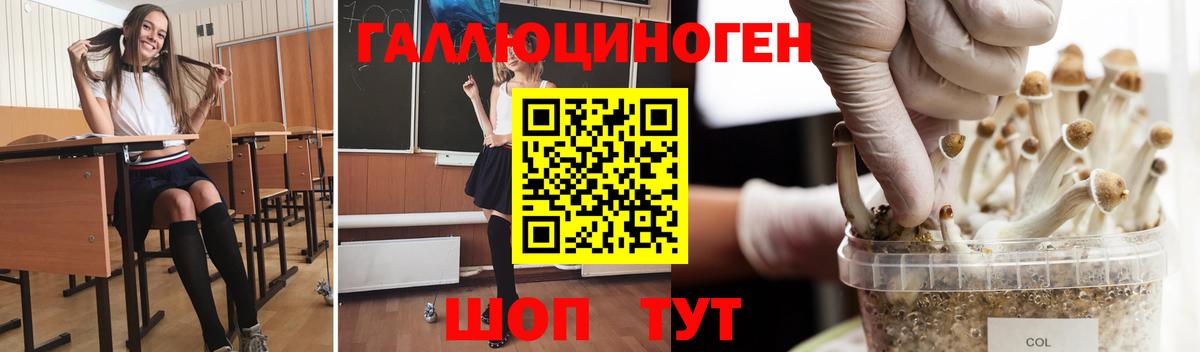 Галлюциногенные грибы ЛСД  Вход с VPN  Новозыбков 